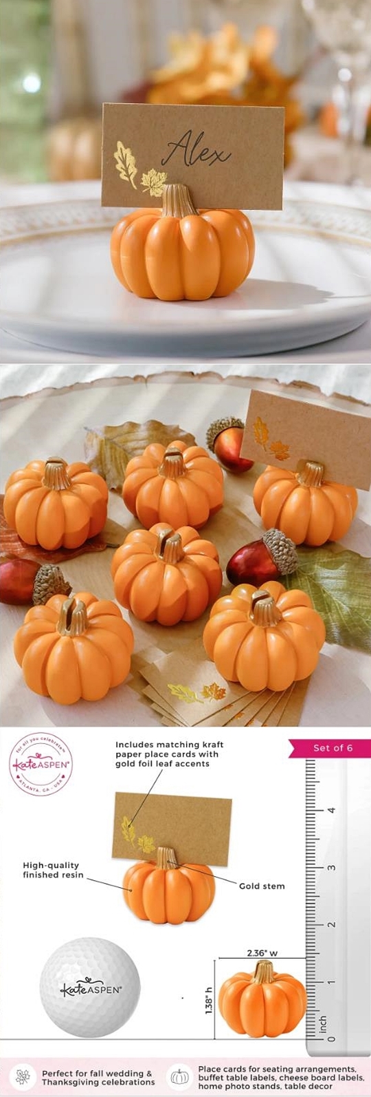 Kate Aspen Orange-Colored Pumpkin-Shaped Place Card Holders (Set of 6)