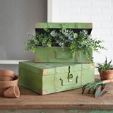 CTW Home Collection Set of Two Garden-Green-Painted Metal Trunks