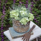 CTW Home Collection Farmhouse Denim-Hued Hobnail-Patterned Concrete Pot