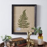 CTW Home Collection Rectangular Pressed Botanical Wall Decor - Lady Fern