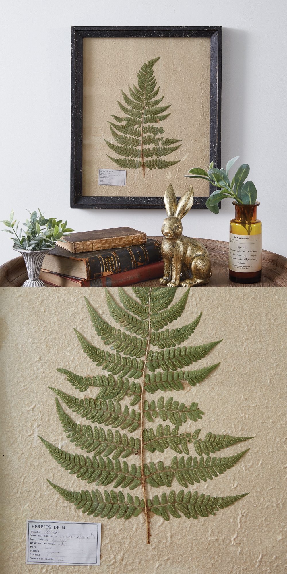 CTW Home Collection Rectangular Pressed Botanical Wall Decor - Lady Fern