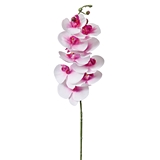 CTW Home Collection Real-Touch Artificial Moon Orchid Stems (Box of 4)